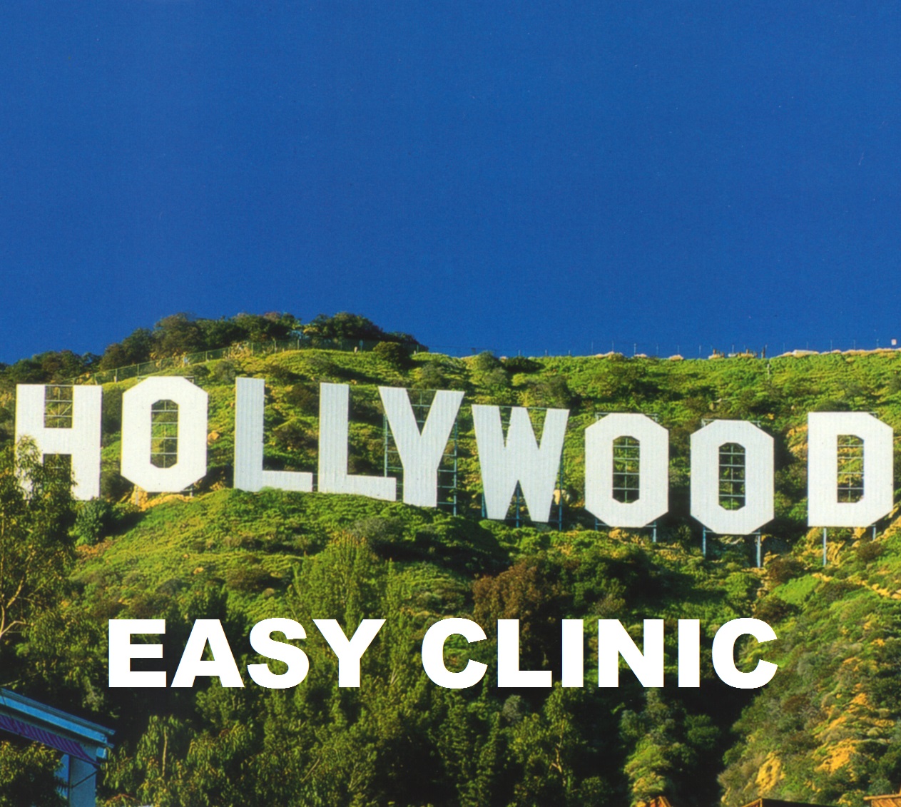 Medical Marijuana Doctor Near Me. Hollywood Easy Clinic